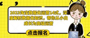2023淘宝数据化运营14式，深度解析数据化知识，帮你从小白成长为高级运营-ANQUYE-HENHENLU-26UUU[首页]