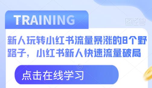 新人玩转小红书流量暴涨的8个野路子，小红书新人快速流量破局-ANQUYE-HENHENLU-26UUU[首页]