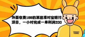 外面收费188的美团准时宝赔付项目，一小时完成一单利润200【仅揭秘】-ANQUYE-HENHENLU-26UUU[首页]
