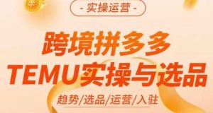伍跃·跨境拼多多TEMU实操与选品，​趋势/选品/运营/入住（27节完整）-ANQUYE-HENHENLU-26UUU[首页]
