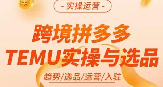 伍跃·跨境拼多多TEMU实操与选品，​趋势/选品/运营/入住（27节完整）-ANQUYE-HENHENLU-26UUU[首页]