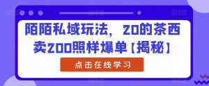 陌陌私域玩法，20的茶西卖200照样爆单【揭秘】-ANQUYE-HENHENLU-26UUU[首页]