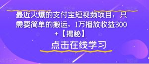 最近火爆的支付宝短视频项目，只需要简单的搬运，1万播放收益300+【揭秘】-ANQUYE-HENHENLU-26UUU[首页]