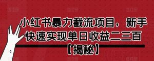小红书暴力截流项目，新手快速实现单日收益二三百【仅揭秘】-ANQUYE-HENHENLU-26UUU[首页]