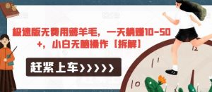 极速版无费用薅羊毛，一天躺赚10-50+，小白无脑操作【拆解】-ANQUYE-HENHENLU-26UUU[首页]