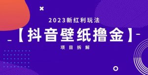 抖音壁纸小程序创作者撸金项目，2023新红利玩法【项目拆解】-ANQUYE-HENHENLU-26UUU[首页]
