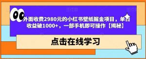 外面收费2980元的小红书壁纸掘金项目，单日收益破1000+，一部手机即可操作【揭秘】-ANQUYE-HENHENLU-26UUU[首页]