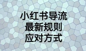 小红书导流最新规则应对方式【揭秘】-ANQUYE-HENHENLU-26UUU[首页]
