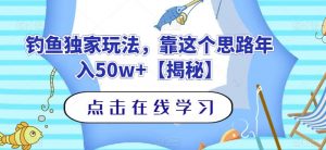 钓鱼独家玩法，靠这个思路年入50w+【揭秘】-ANQUYE-HENHENLU-26UUU[首页]