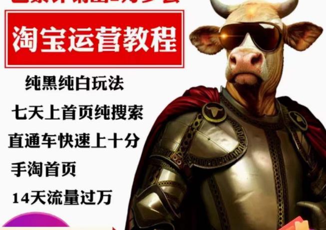 猫老师·淘系算法逆向解密，​纯黑纯白玩法，七天上首页纯搜索，手淘首页14天流量过万-ANQUYE-HENHENLU-26UUU[首页]