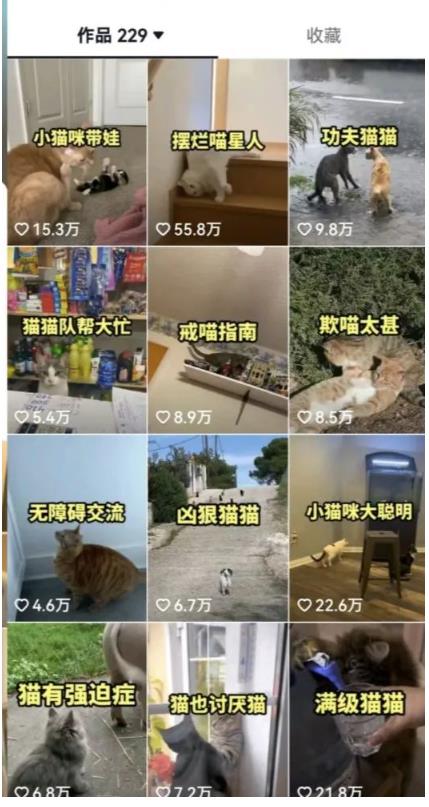 拆解：抖音盘点类中视频变现副业项目，视频版一条龙大解析分享给你-ANQUYE-HENHENLU-26UUU[首页]