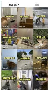 拆解抖音盘点类中视频变现副业项目，视频版一条龙大解析分享给你【视频课程】-ANQUYE-HENHENLU-26UUU[首页]