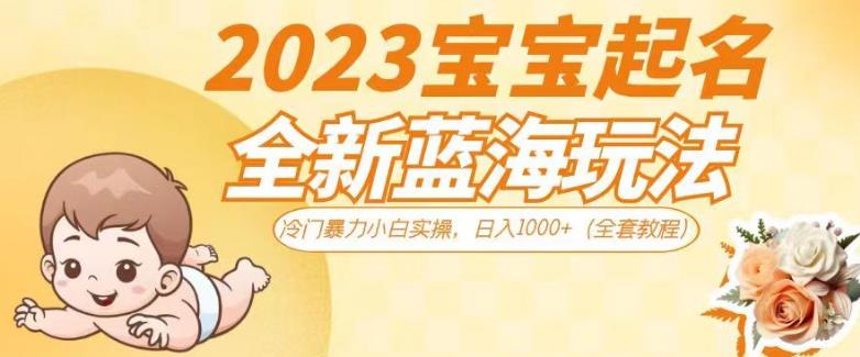 2023宝宝起名全新蓝海玩法，冷门暴力小白实操，日入1000+（全套教程）【揭秘】-ANQUYE-HENHENLU-26UUU[首页]