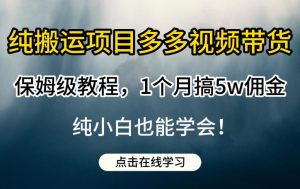 纯搬运项目多多视频带货保姆级教程，1个月搞5w佣金，纯小白也能学会【揭秘】-ANQUYE-HENHENLU-26UUU[首页]