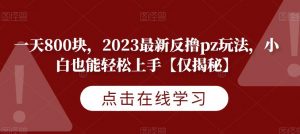 一天800块，2023最新反撸pz玩法，小白也能轻松上手【仅揭秘】-ANQUYE-HENHENLU-26UUU[首页]