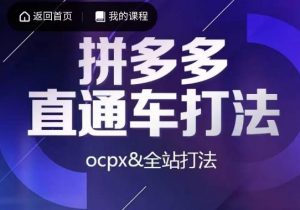 互力·拼多多直通车打法，ocpx&全站打法-ANQUYE-HENHENLU-26UUU[首页]