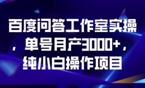 百度问答工作室实操，单号月产3000+，纯小白操作项目【揭秘】-ANQUYE-HENHENLU-26UUU[首页]