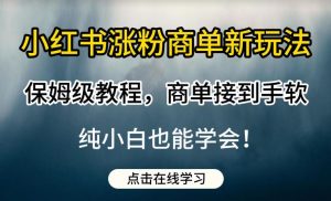 小红书涨粉商单新玩法，保姆级教程，商单接到手软，纯小白也能学会【揭秘】-ANQUYE-HENHENLU-26UUU[首页]