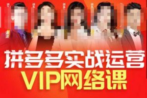 推易拼多多VIP全套直播课程，拼多多店铺实操玩法+实战玩法选款内功+直通车高阶等-ANQUYE-HENHENLU-26UUU[首页]