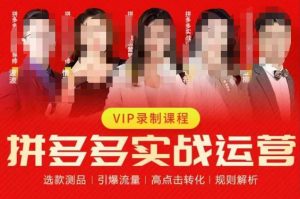 2023推易拼多多实战运营，选款测品、引爆流量、高点击转化、规则解析-ANQUYE-HENHENLU-26UUU[首页]