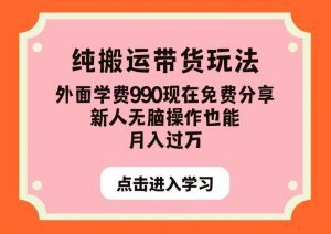 纯搬运带货玩法，外面学费990现在免费分享，新人无脑操作也能月入过万【揭秘】-ANQUYE-HENHENLU-26UUU[首页]