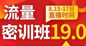 秋秋线上流量密训班19.0，打通流量关卡，线上也能实战流量破局-ANQUYE-HENHENLU-26UUU[首页]