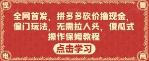 全网首发，拼多多砍价撸现金，偏门玩法，无需拉人头，傻瓜式操作保姆教程【揭秘】-ANQUYE-HENHENLU-26UUU[首页]