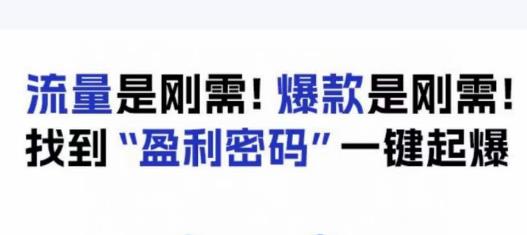 电商盈利精品课：6大盈利密码让产品更好卖，流量是刚需！爆款是刚需！找到”盈利密码”一键起爆-ANQUYE-HENHENLU-26UUU[首页]