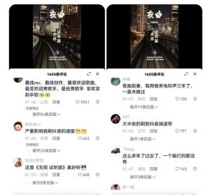 副业拆解：抖音杰伦音乐号涨粉变现项目，视频版一条龙实操玩法分享给你-ANQUYE-HENHENLU-26UUU[首页]
