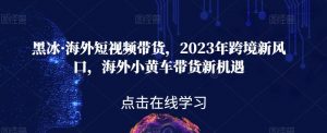 黑冰·海外短视频带货，2023年跨境新风口，海外小黄车带货新机遇-ANQUYE-HENHENLU-26UUU[首页]