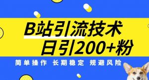 B站引流技术：每天引流200精准粉，简单操作，长期稳定，规避风险-ANQUYE-HENHENLU-26UUU[首页]