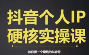 个人IP创富系统实战课，商业定位，流量打造，短视频变现，教你做个赚钱的抖音号-ANQUYE-HENHENLU-26UUU[首页]