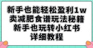 新手也能轻松盈利1w，卖减肥食谱玩法秘籍，新手也玩转小红书详细教程【揭秘】-ANQUYE-HENHENLU-26UUU[首页]