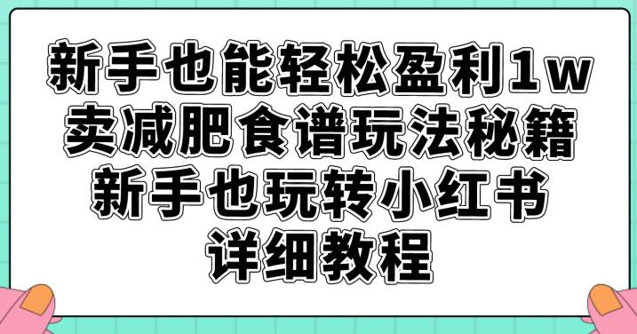 新手也能轻松盈利1w，卖减肥食谱玩法秘籍，新手也玩转小红书详细教程【揭秘】-ANQUYE-HENHENLU-26UUU[首页]
