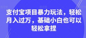 支付宝项目暴力玩法，轻松月入过万，基础小白也可以轻松拿捏【揭秘】-ANQUYE-HENHENLU-26UUU[首页]