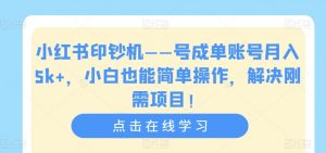 小红书印钞机——号成单账号月入5k+，小白也能简单操作，解决刚需项目【揭秘】-ANQUYE-HENHENLU-26UUU[首页]