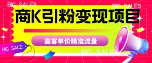 商K引粉变现项目，高客单价精准流量【揭秘】-ANQUYE-HENHENLU-26UUU[首页]