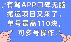 有驾APP口碑无脑搬运项目又来了，单号最高110块，可多号操作-ANQUYE-HENHENLU-26UUU[首页]
