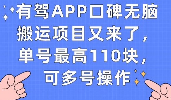 有驾APP口碑无脑搬运项目又来了，单号最高110块，可多号操作-ANQUYE-HENHENLU-26UUU[首页]