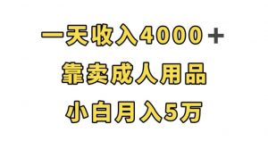 一天收入4000+，靠卖成人用品，小白轻松月入5万【揭秘】-ANQUYE-HENHENLU-26UUU[首页]