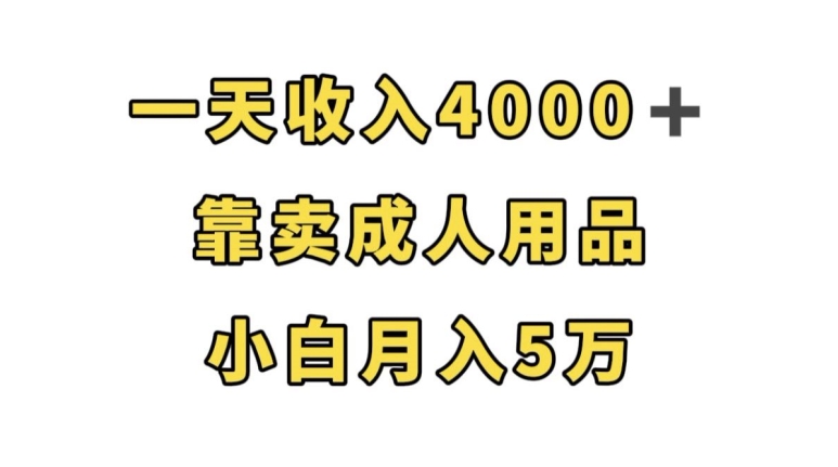 一天收入4000+，靠卖成人用品，小白轻松月入5万【揭秘】-ANQUYE-HENHENLU-26UUU[首页]