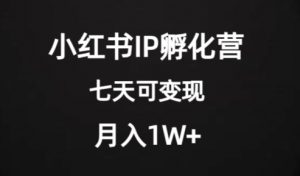 价值2000+的小红书IP孵化营项目，超级大蓝海，七天即可开始变现，稳定月入1W+-ANQUYE-HENHENLU-26UUU[首页]