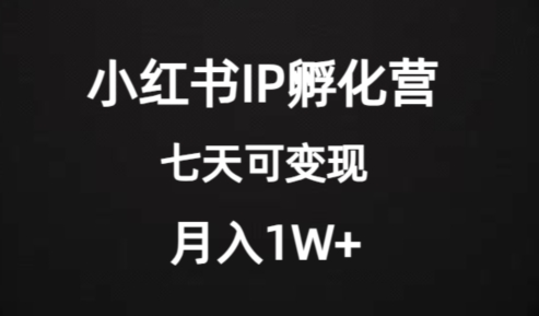 价值2000+的小红书IP孵化营项目，超级大蓝海，七天即可开始变现，稳定月入1W+-ANQUYE-HENHENLU-26UUU[首页]