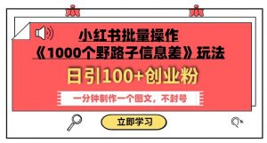 小红书批量操作《1000个野路子信息差》玩法，一分钟制作一个图文，不封号，日引100+创业粉-ANQUYE-HENHENLU-26UUU[首页]