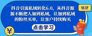 抖音引流私域转化6.0，从抖音源源不断把人加到私域，让加到私域的粉丝买单，让客户持续购买-ANQUYE-HENHENLU-26UUU[首页]