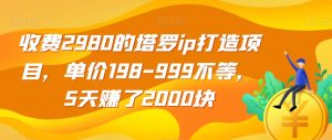 收费2980的塔罗ip打造项目，单价198-999不等，5天赚了2000块【揭秘】-ANQUYE-HENHENLU-26UUU[首页]