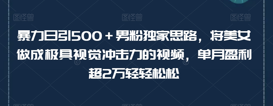 暴力日引500＋男粉独家思路，将美女做成极具视觉冲击力的视频，单月盈利超2万轻轻松松-ANQUYE-HENHENLU-26UUU[首页]