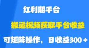 搬运视频获取平台收益，平台红利期，附保姆级教程【揭秘】-ANQUYE-HENHENLU-26UUU[首页]
