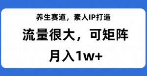 养生赛道，素人IP打造，流量很大，可矩阵，月入1w+【揭秘】-ANQUYE-HENHENLU-26UUU[首页]