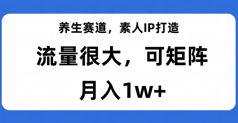 养生赛道，素人IP打造，流量很大，可矩阵，月入1w+【揭秘】-ANQUYE-HENHENLU-26UUU[首页]